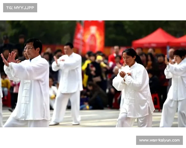 以太极拳推手锦标赛在成都开赛展现借力打力的智慧与精妙技艺 以太极拳推手锦标赛在成都开赛展现借力打力的智慧与精妙技艺